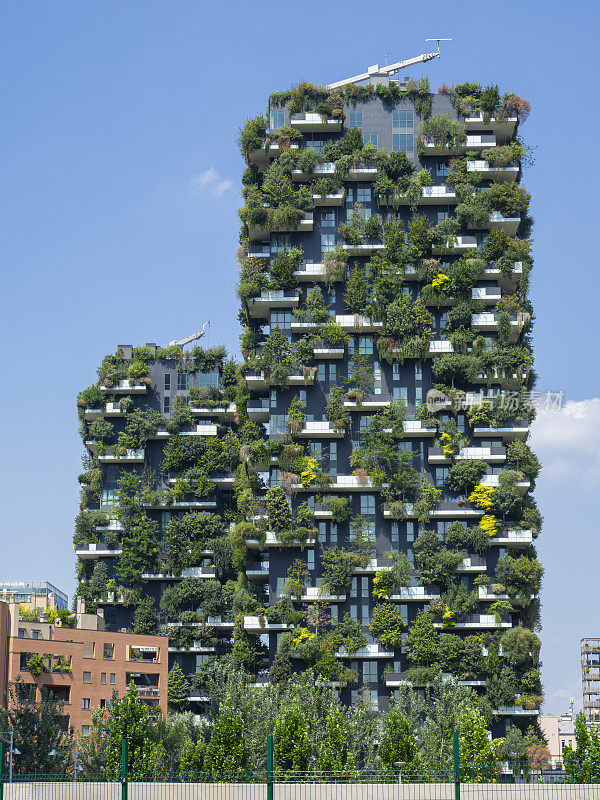 米兰,意大利。Bosco Verticale，在现代和生态摩天大楼与许多树在每个阳台。现代建筑，垂直花园，带有植物的露台